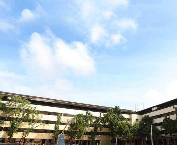 Velammal Students shine at National Standard Examination